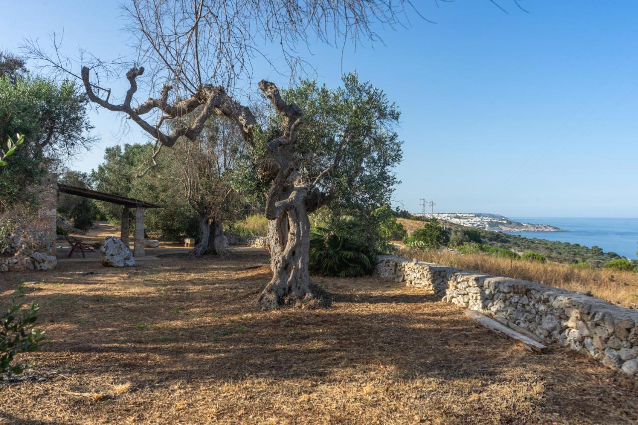 Levante E Libeccio Villette Vista Mare - Marina Di Andrano Eksteriør bilde